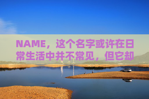 NAME，这个名字或许在日常生活中并不常见，但它却在某些领域里扮演着重要的角色。今天，让我们一起来探索这个名字背后的故事和意义